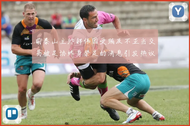 前泰山主帅郝伟因受贿及不正当交易被足协终身禁足的消息引发热议
