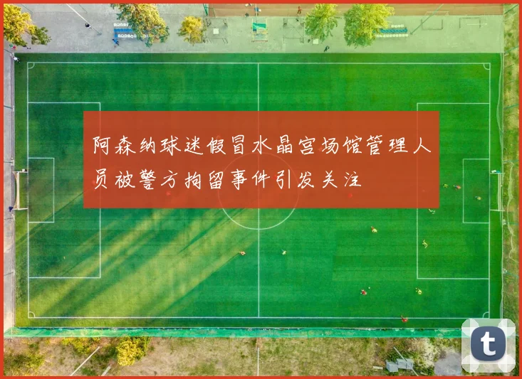 阿森纳球迷假冒水晶宫场馆管理人员被警方拘留事件引发关注